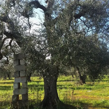 Na Chicca E Na Nicchia * San Pancrazio Salentino