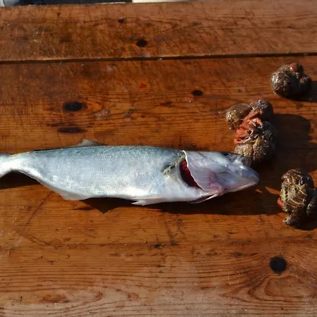 Na Chicca E Na Nicchia サン・パンクラーツィオ・サレンティーノ