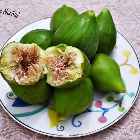 Na Chicca E Na Nicchia 別荘 サン・パンクラーツィオ・サレンティーノ