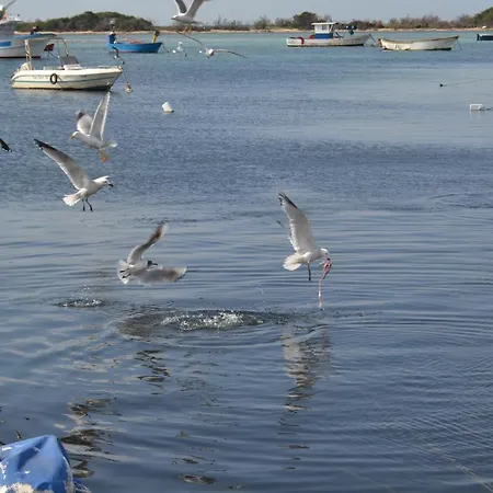 Na Chicca E Na Nicchia 別荘