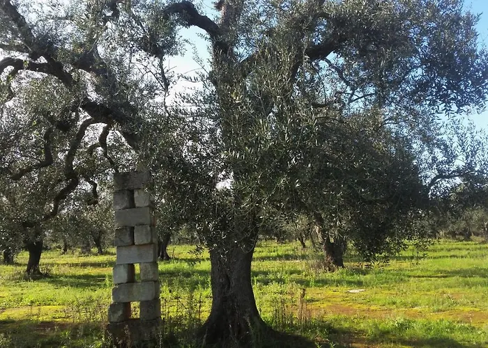 Na Chicca E Na Nicchia * San Pancrazio Salentino