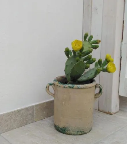 Na Chicca E Na Nicchia Casa vacanze *