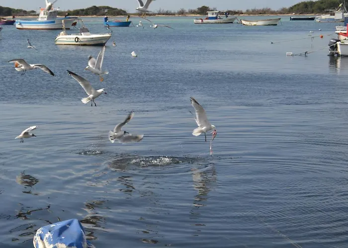 Na Chicca E Na Nicchia 度假居